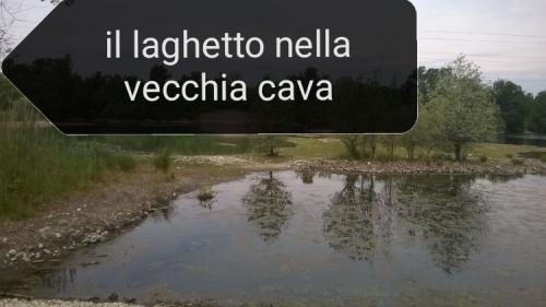 Il laghetto