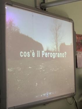 Video dell'attività che si svolge al Perograno