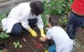 i bambini preparano il terreno